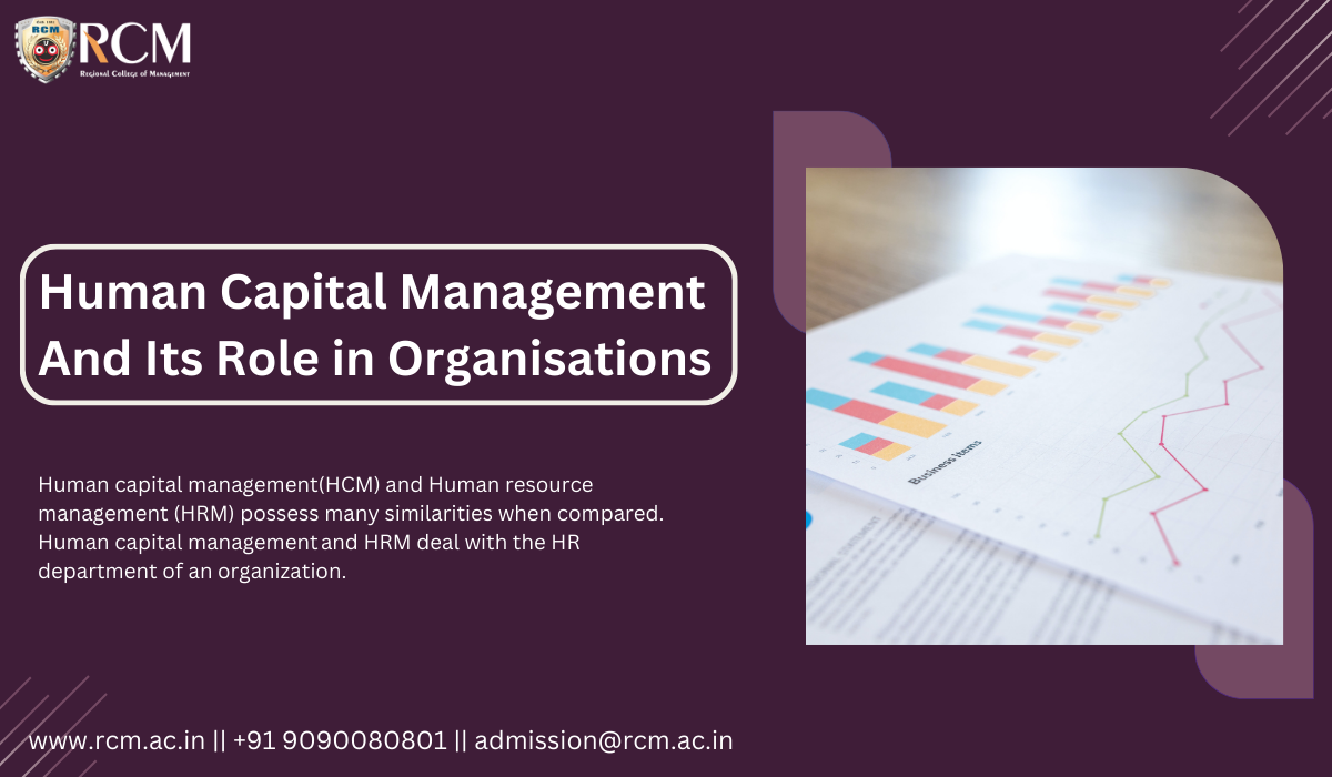 Read more about the article Human Capital Management And Its Role in Organisations