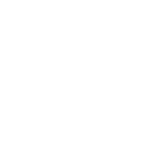 Piramal 2