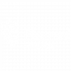Piramal 2
